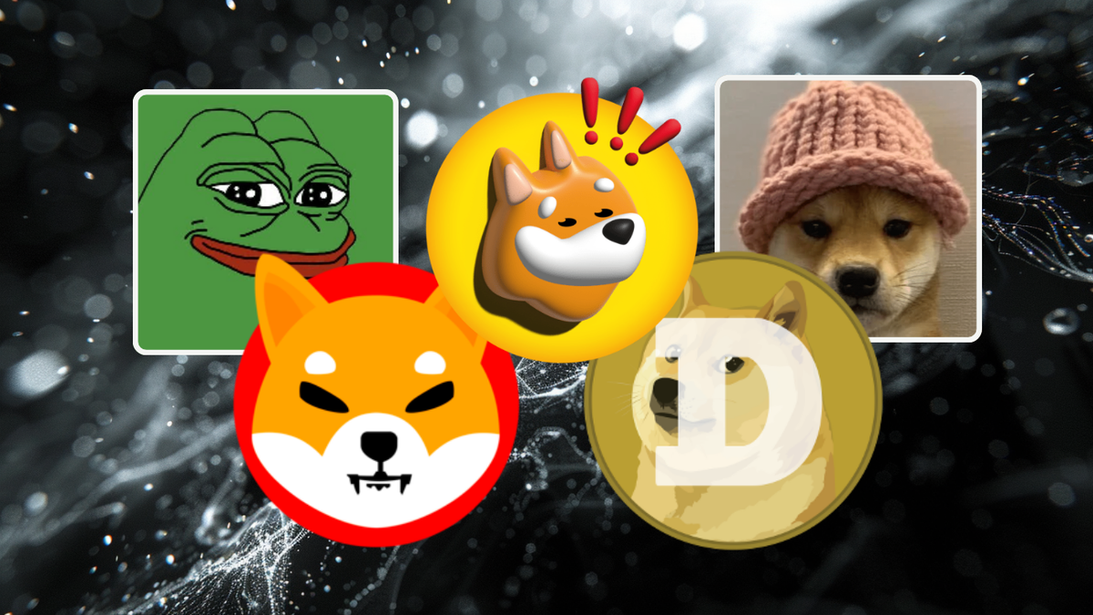 Memecoins: grote onzin of waardevol? - De Lange Termijn